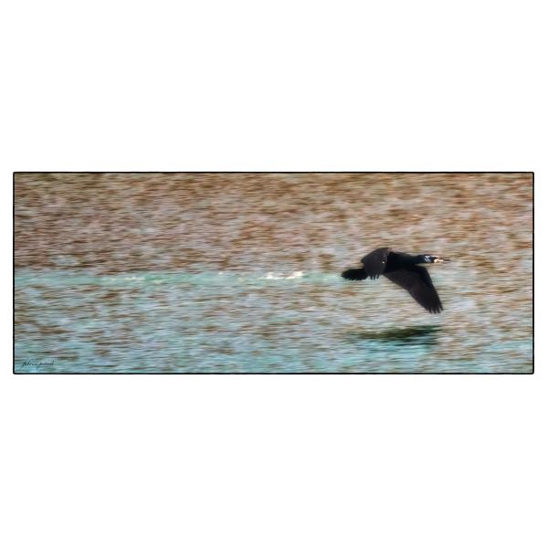 PHOTO84, CLUB, 84 , LUBERON